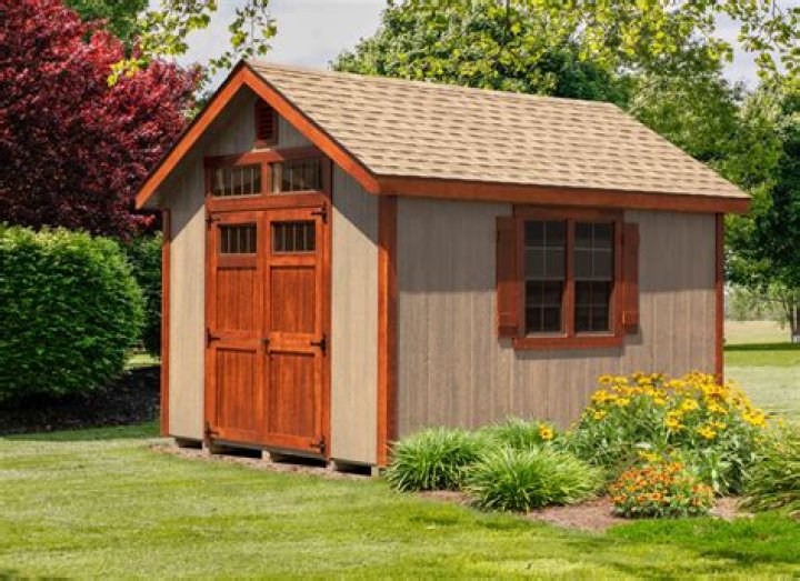 10 by 10 shed