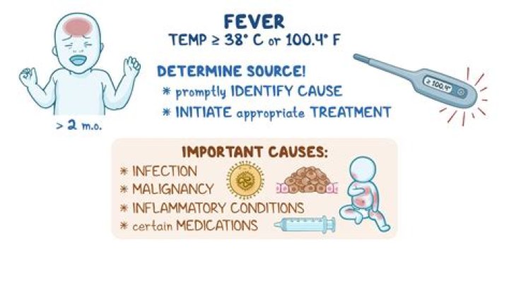 101.2 fever in adults