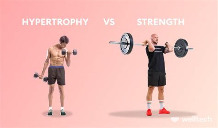 2×4 vs 2×6 strength