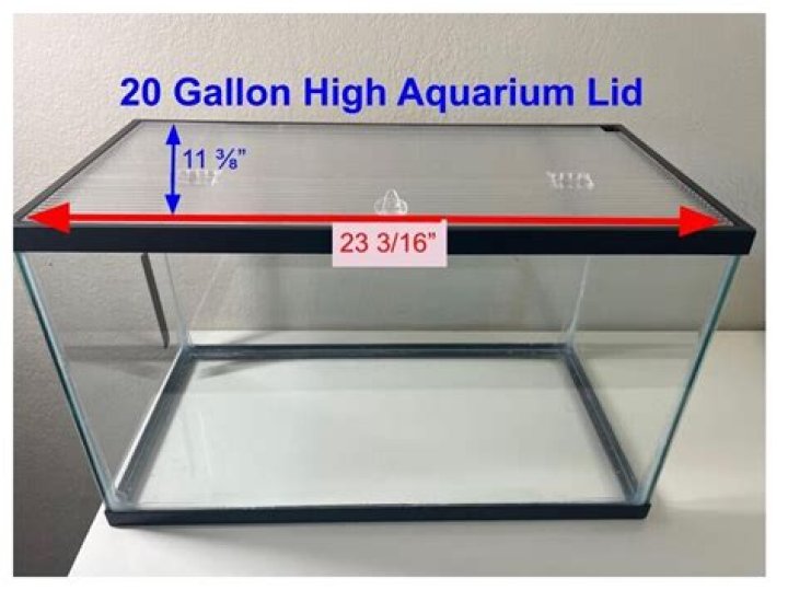 20 gallon tank dimensions