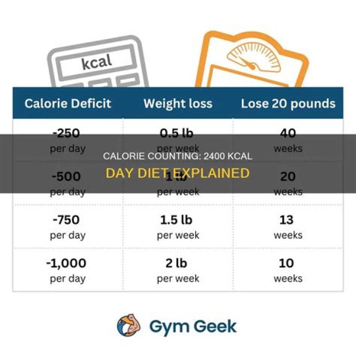 2400 calories a day