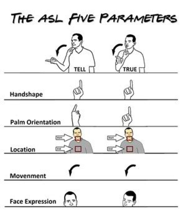 5 parameters of asl
