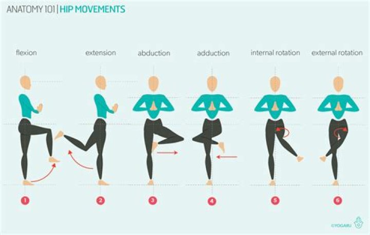 a rhythmic thrusting movement of the legs in swimming.
