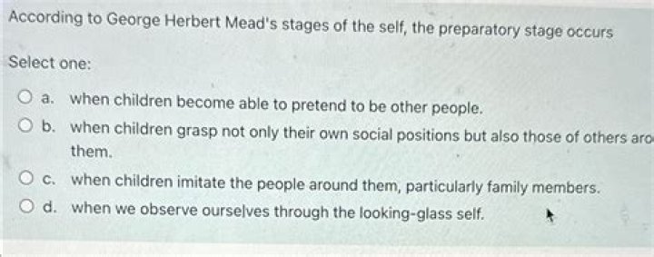 “according to george herbert mead’s stages of the self