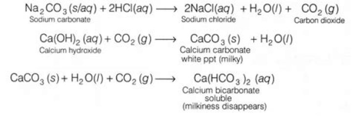 acetic acid + calcium hydroxide