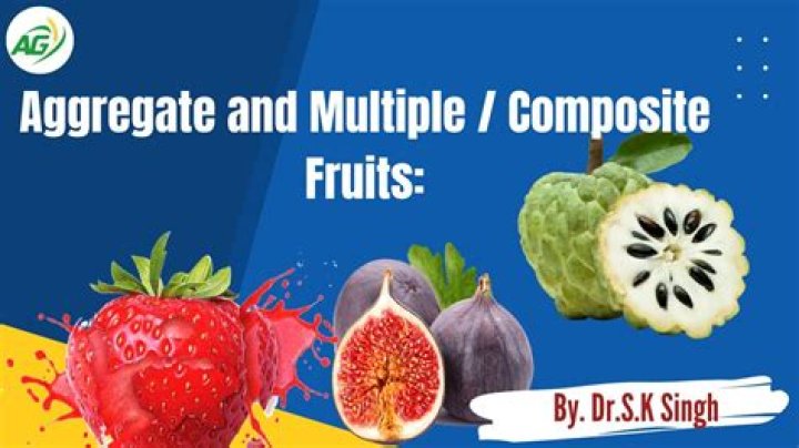 aggregate fruit is defined as the one which develops from