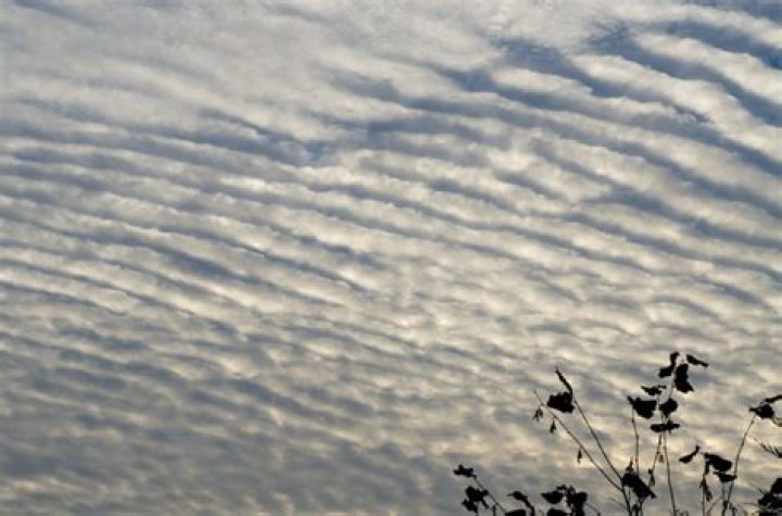 altostratus clouds