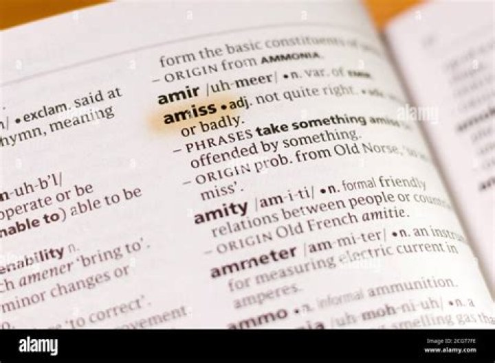 amiss meaning