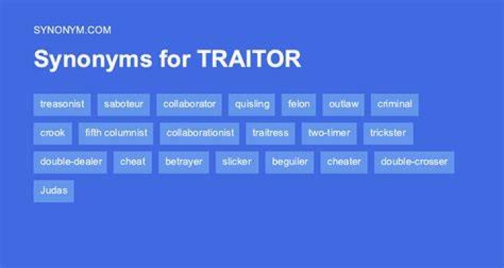 another word for traitor