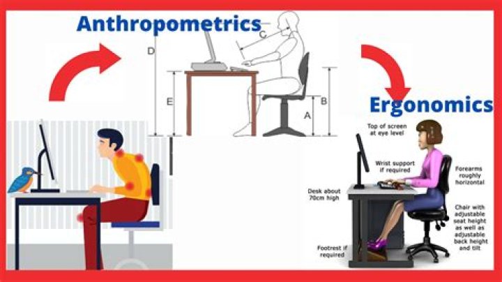 anthropometrics and ergonomics