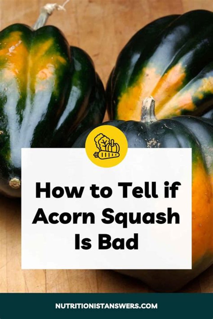 Are all squash edible? | ContextResponse.com