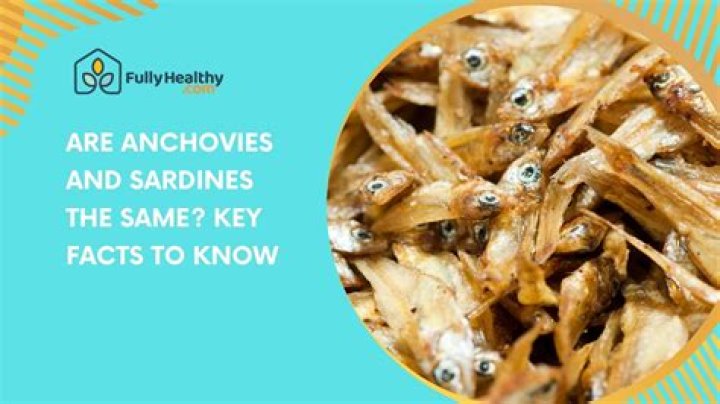 Are anchovies carnivores?