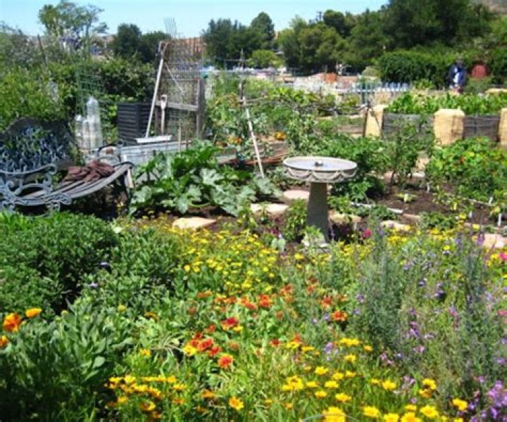 Are bees good for the garden