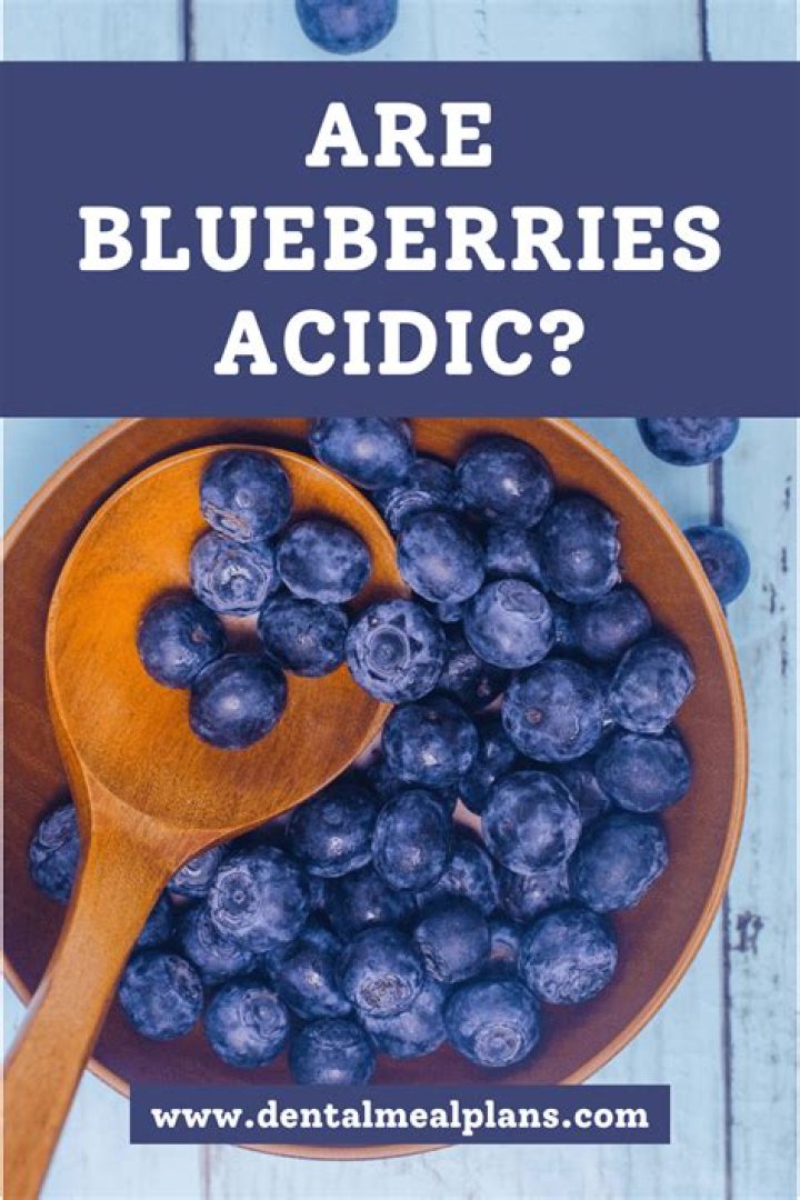 are blueberries acidic
