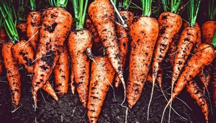 Are carrots orange