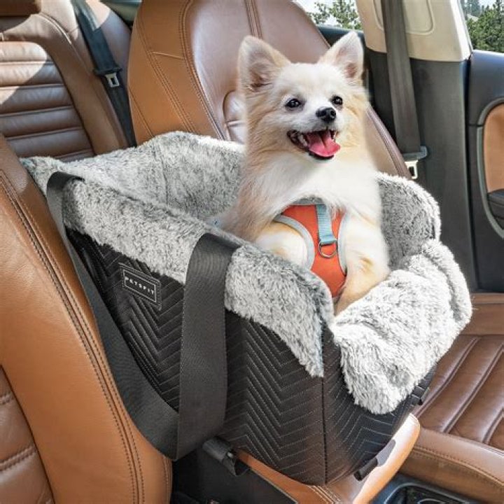 Are dog car booster seats safe?