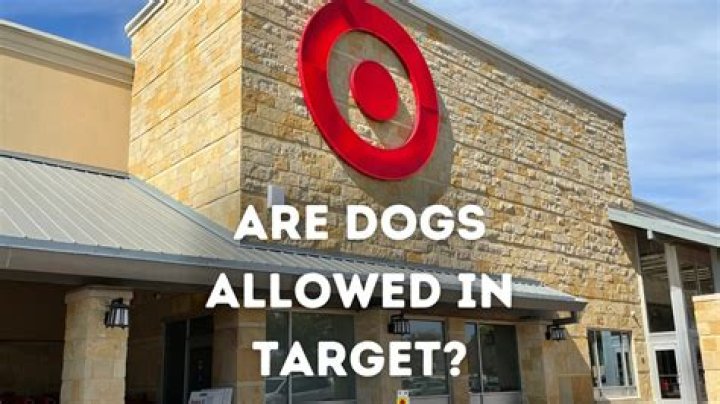 are dogs allowed in target
