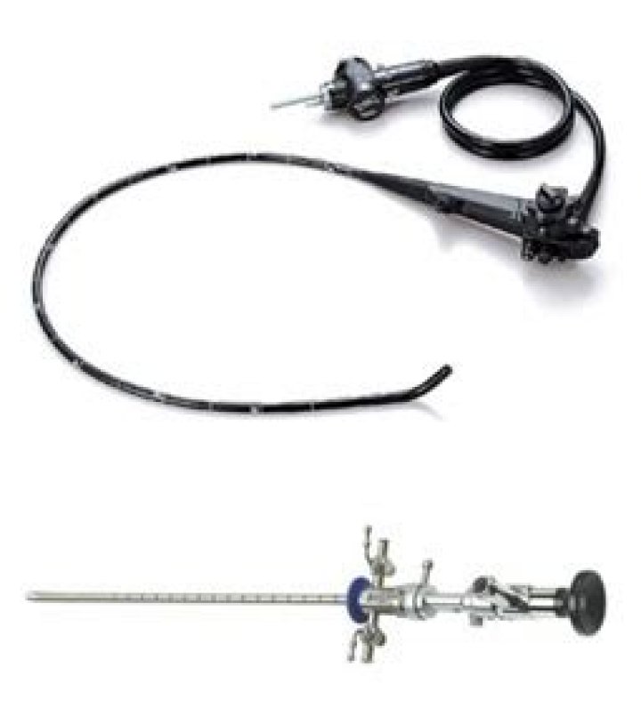 Are endoscopes sterile? | ContextResponse.com
