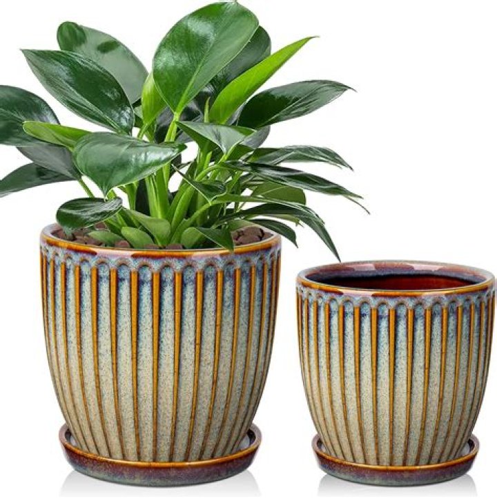 Are glazed ceramic pots good for plants