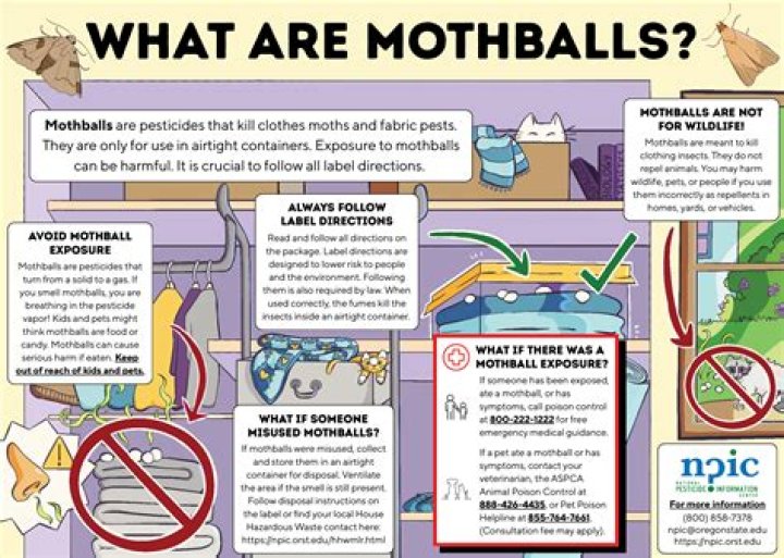 are mothballs harmful to dogs