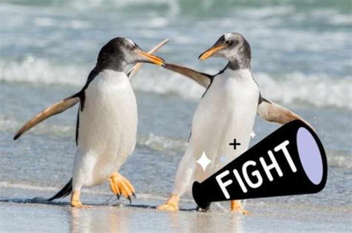 are penguins aggressive