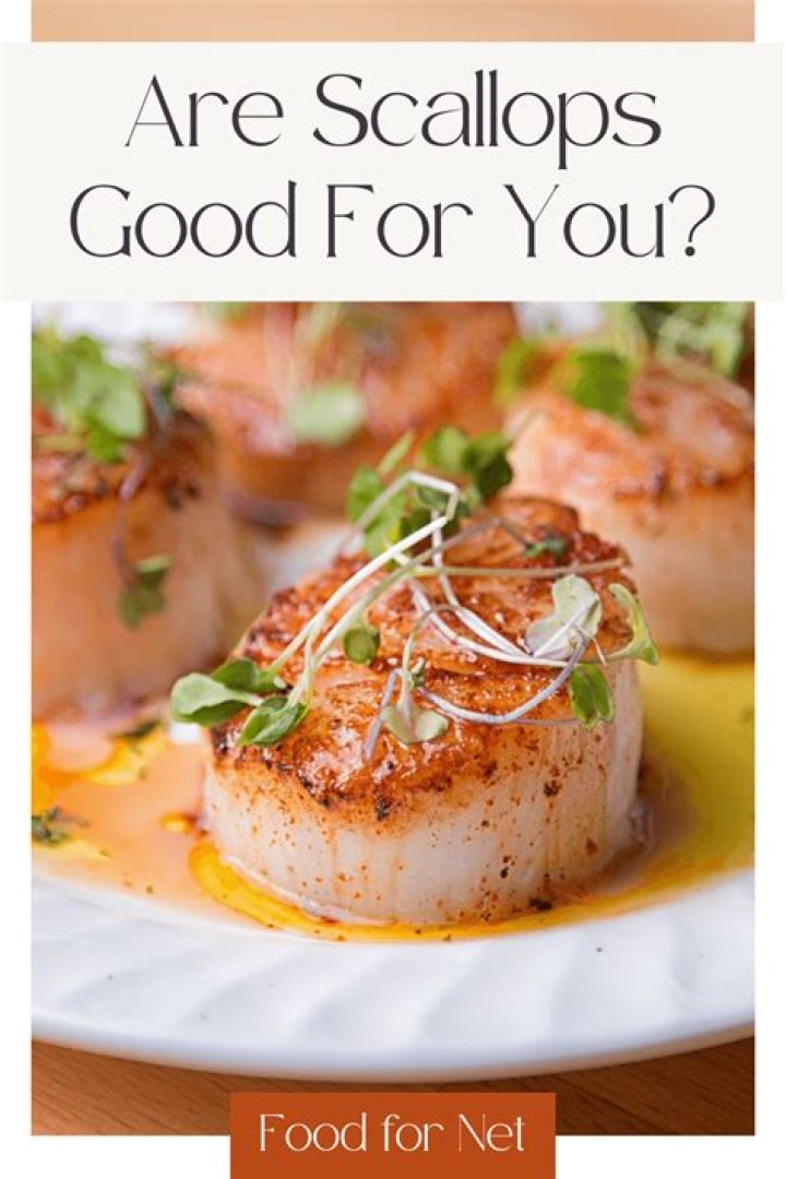 are scallops good for you