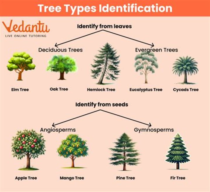 Are trees Emblements