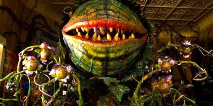 audrey 2