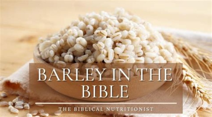 barley in the bible