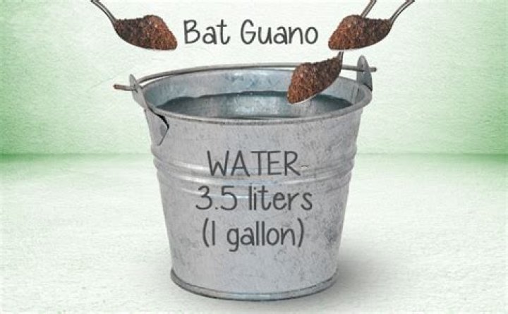 bat guano tea