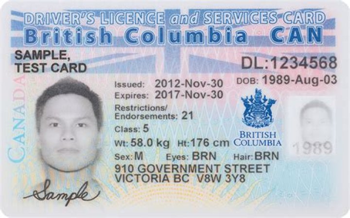 bc drivers license