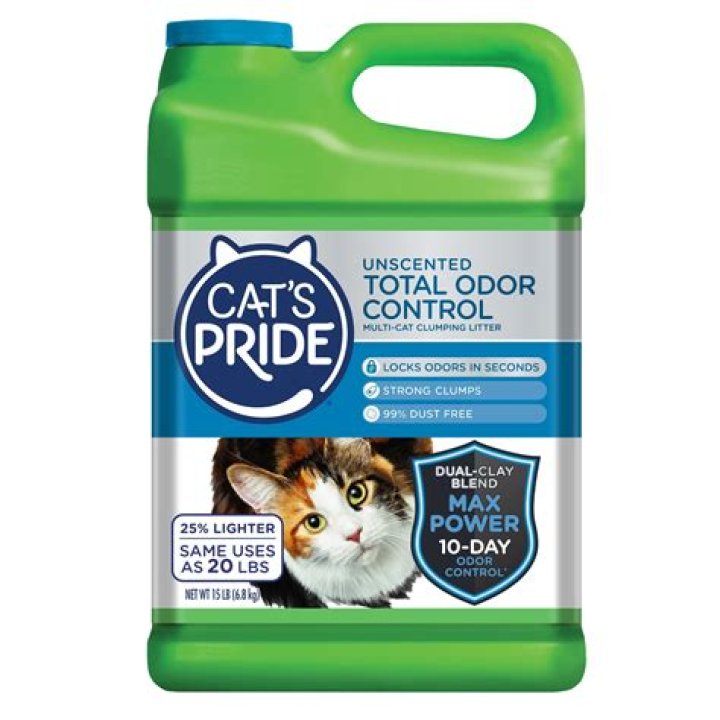 best cat litter for odor