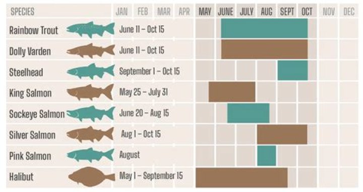 best season for fishing