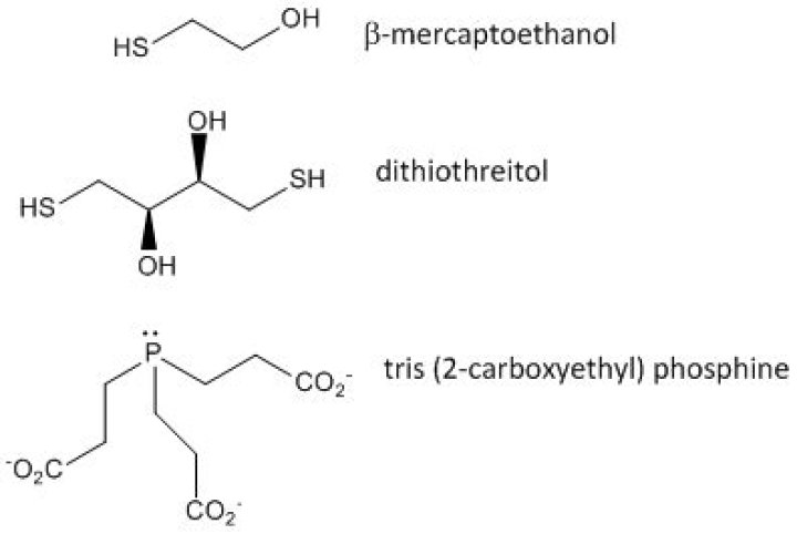 beta mercaptoethanol function