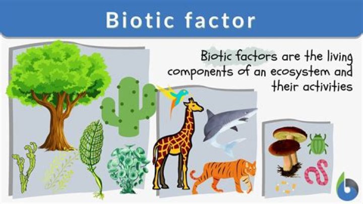 biotic definition