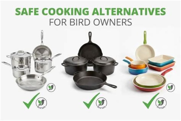 bird safe cookware