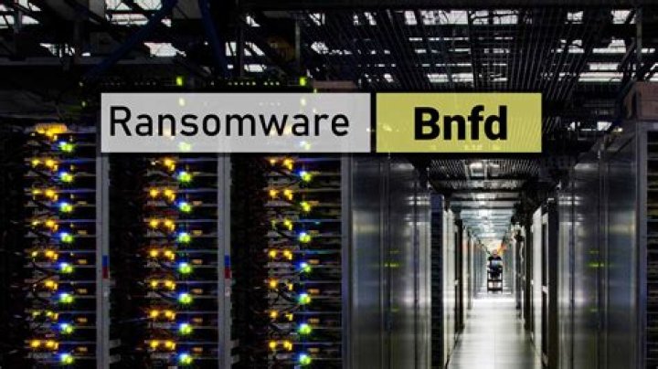 BNFD Virus Files of Ransomware — How to remove virus?