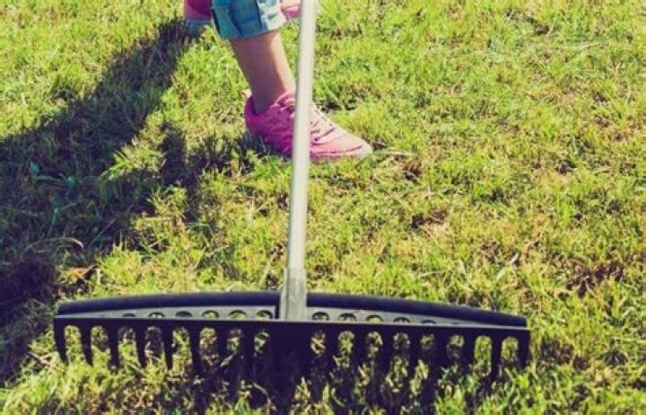 bow rake uses