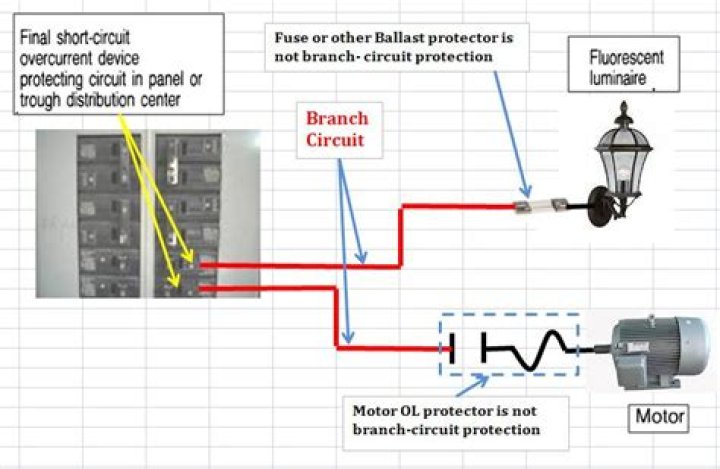branch circuit definition