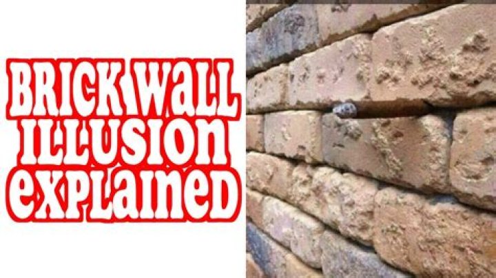 brick wall illusion answer