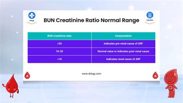 bun creatinine ratio low
