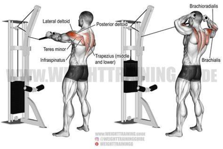 cable face pulls