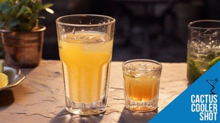 cactus cooler shot