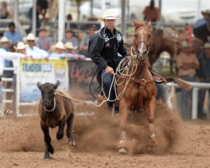 calf roping