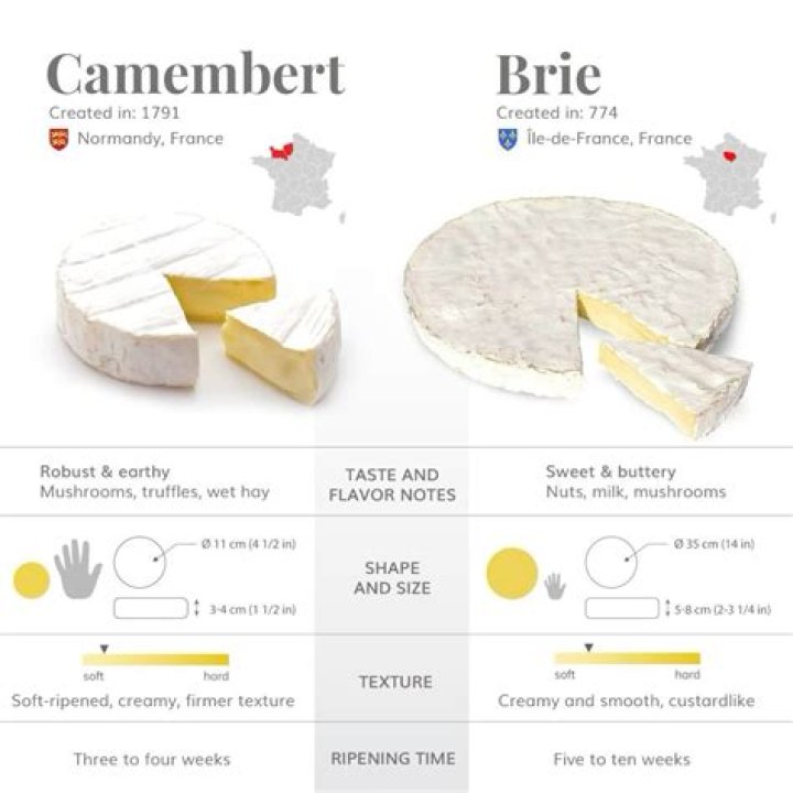 camembert vs brie