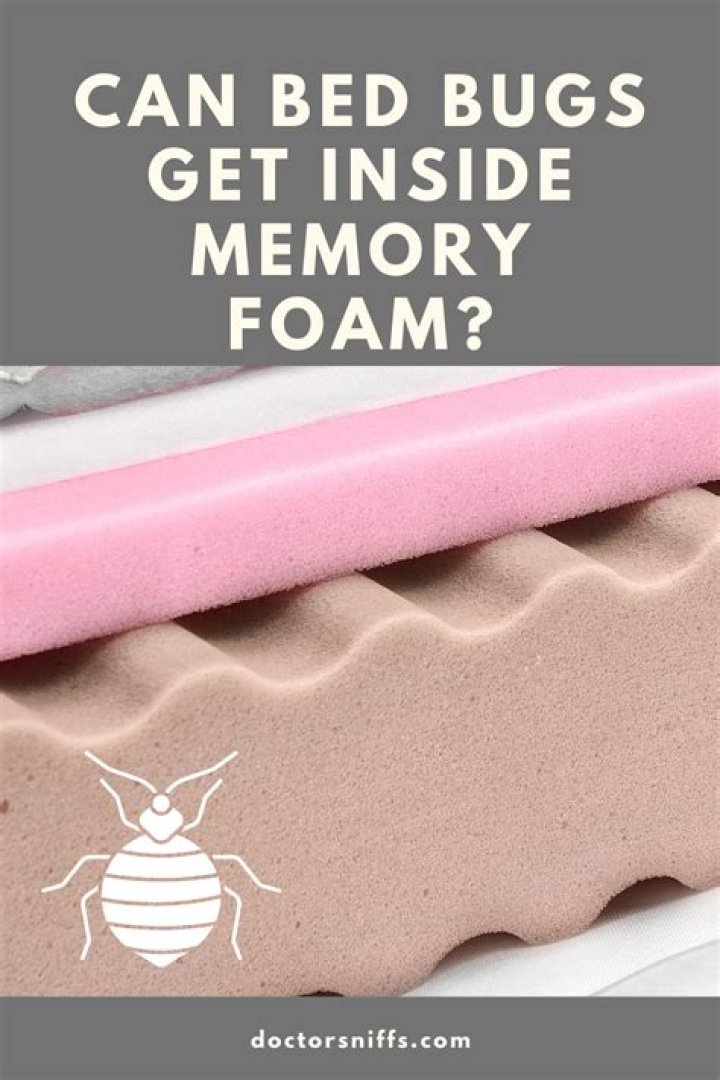 can bed bugs get inside memory foam