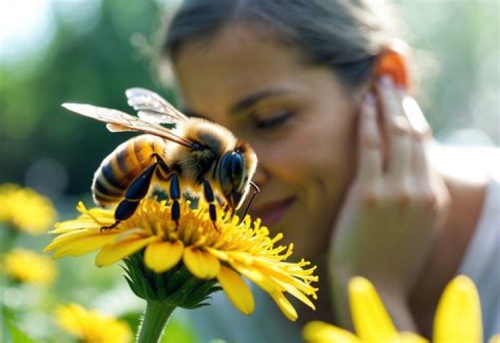 can bees hear