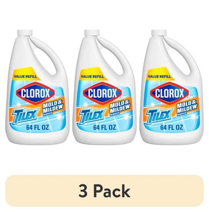 Can Clorox remove mold
