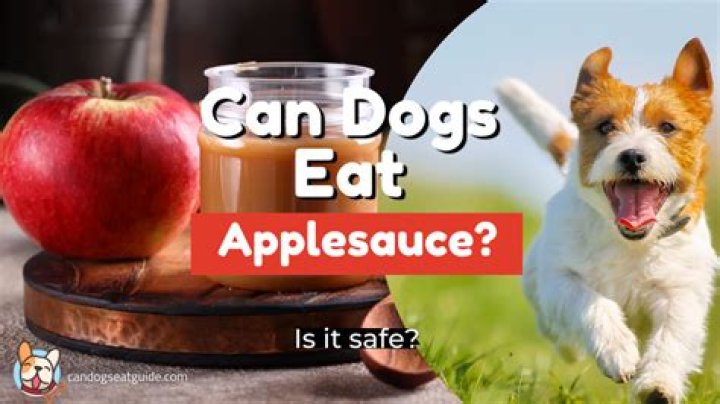 can dogs eat applesauce