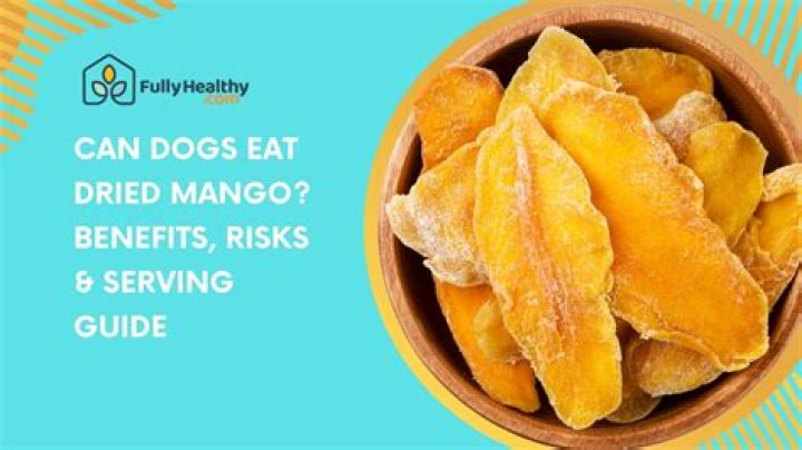 can dogs eat dried mango